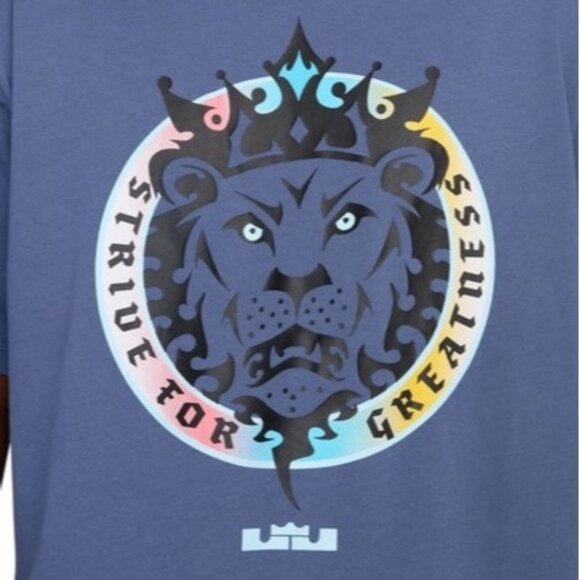 Nike Other - Nike Men's Lebron James Max90 Heavyweight Cotton Basketball T Shirt  XXL $50